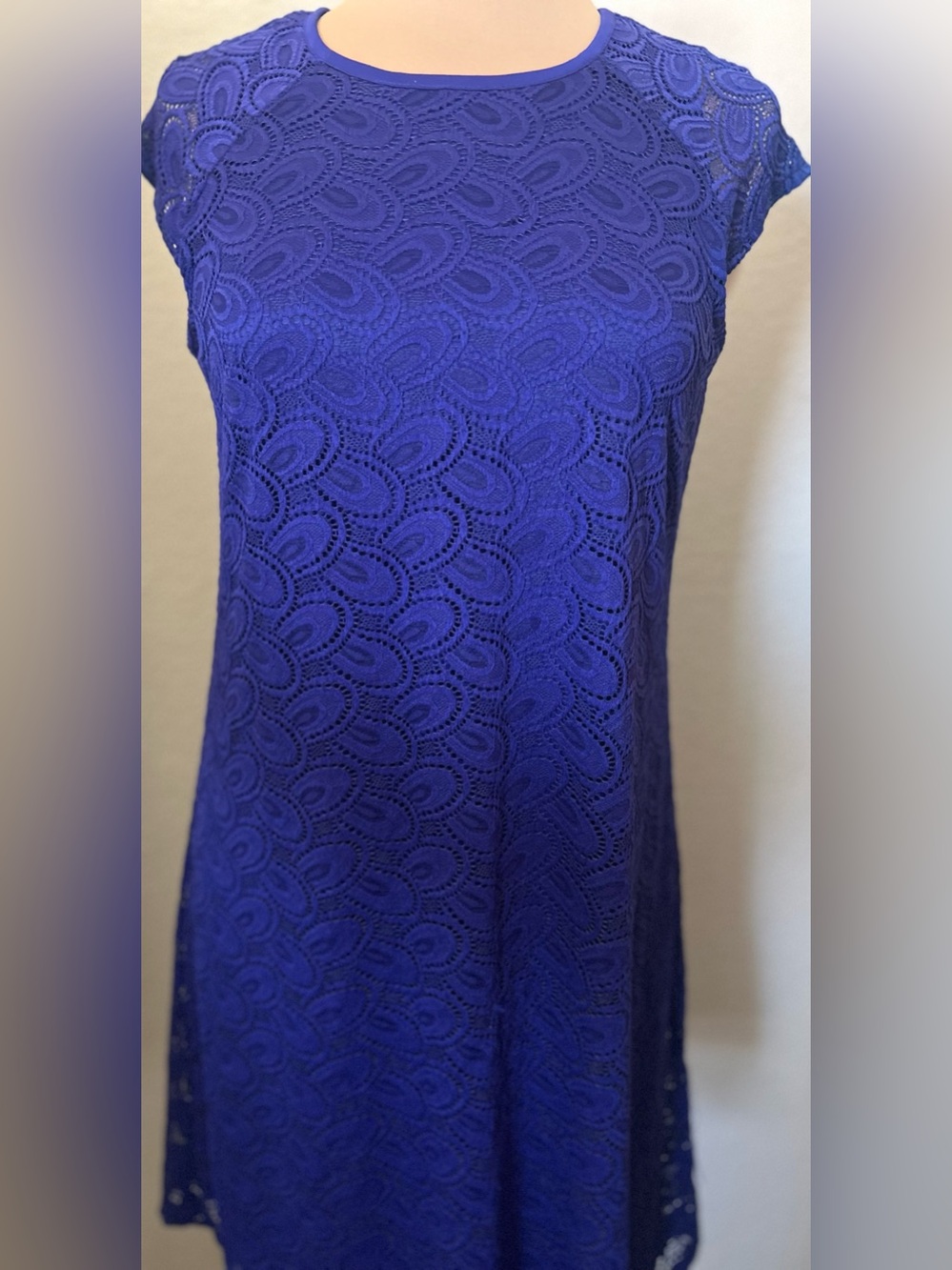 Ronni Nicole Lace Shift Dress